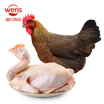 温氏 供港清远麻鸡1.2kg 高品质原种清远鸡清远麻鸡土鸡 山林慢养125天 烧鸡汤火锅食材