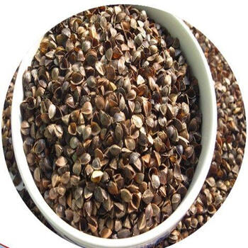 荞麦皮高温消毒免洗杀菌婴儿枕荞麦枕芯填充物枕芯甜荞麦壳10斤装麦壳