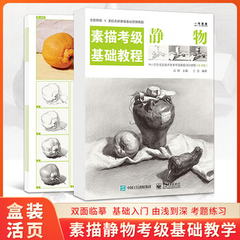 一线美誉素描静物考级入门铅笔画手绘素描基础教程书临摹素描静物