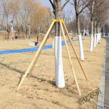 树木支撑固定器支撑杆固定器套杯绑带园林植物防风防倒支撑架支架
