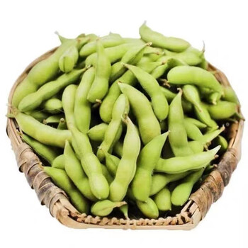 皓谦【jd京鲜配送】四川新鲜毛豆农家现摘新鲜毛豆荚带壳绿豆荚 精选