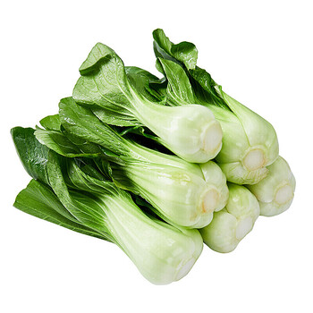 夏天的当季蔬菜有哪些(夏天有哪些季节菜食材)