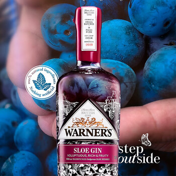 杜松子酒 金酒 gin酒 琴酒 调酒基酒 温特金黑刺李味金酒700ml