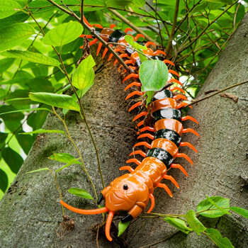 玩具爬行仿真小动物4-6岁男孩女孩 【黄黑款】遥控蜈蚣9901 螺丝刀