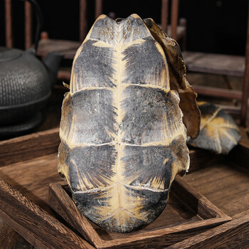 龟板中药材中华草龟外塘龟生晒龟苓龟甲干货煮汤500克