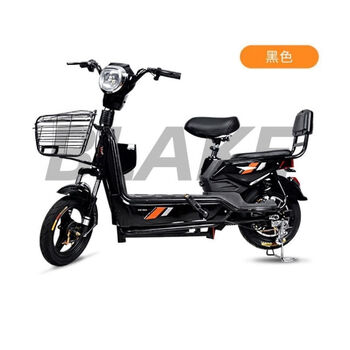 语森忆厂家直销新国标电动车小型车小牛电动车48v锂电池同型成人电瓶