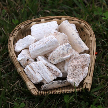 龙骨批发中药材生龙骨中草药材正宗煅龙骨搭配桂枝牡蛎汤 正品吸舌