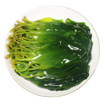 霞浦特级海带苗新鲜小海带芽嫩苗盐渍 250g海带苗