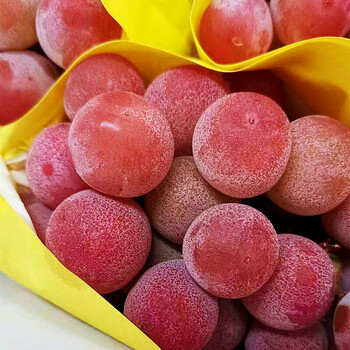 当季妮娜皇后晴王葡萄罗马红宝石新鲜无籽红提日本品种葡萄生鲜 3斤