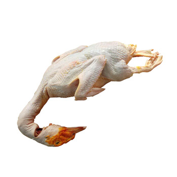 【顺丰速运】闽南正番鸭三年黄皮老鸭子肉整只红脸土鸭白鸭炖汤整鸭带