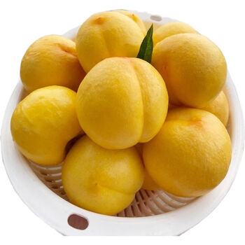 山东黄金油桃现货桃子新鲜脆桃蜜桃黄金桃当季孕妇水果批发 精品黄金