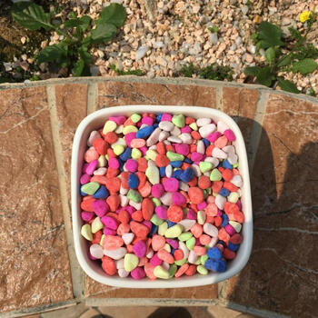 京选推荐 多肉营养土花土陶粒盆栽铺面石头多肉植物种植土七彩石中号400g 图片价格品牌报价 京东