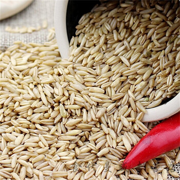 燕麦米生燕麦仁10斤农裸燕麦米内蒙古全胚芽莜麦米5kg