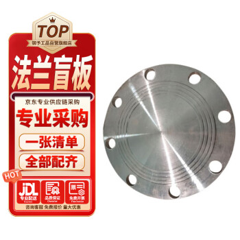 钢予工品 不锈钢法兰盲板 DN600，PN16，材质304 一个价