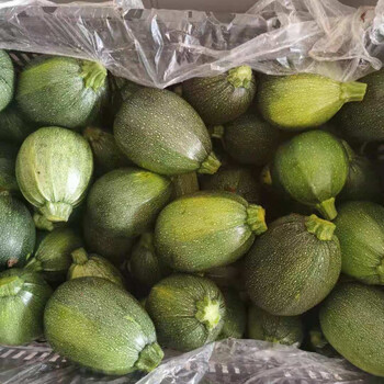 云南小南瓜新鲜小圆瓜圆形西葫芦绿皮青皮嫩瓜时令当季蔬菜 精选嫩圆