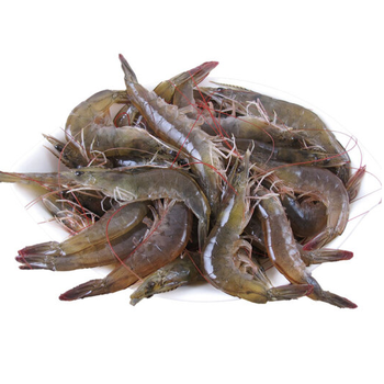冷冻南美白虾 对虾 小虾火锅食材 鲜活虾烧烤食材海鲜水产 约50条