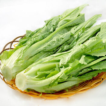 蔬菜油麦菜青菜可生吃叶菜莜麦菜 5斤精选装