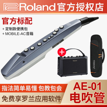 Roland紵AE01 AE01Cѧߵ˹AE05Դ AE-01+ƱЯ+