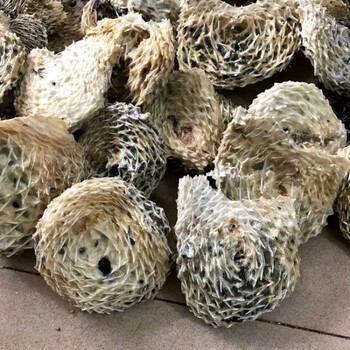 大号刺龟鱼皮海豚海胆刺豚皮海刺鱼北海海产干货海鱼干煲汤500克500克