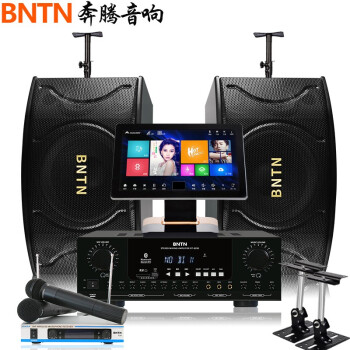 万马奔腾（BNTN）家庭KTV唱歌音响全套套装 家用客厅智能语音台式点歌机卡拉OK功放8200配12三分频五单元音箱
