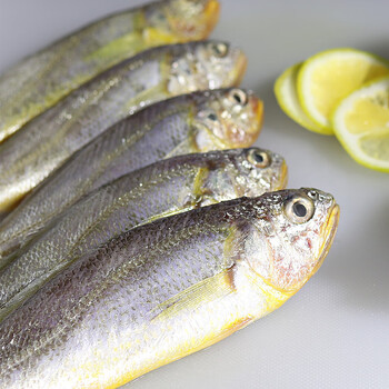 晨臻大连特产冷冻小黄花鱼整箱36斤新鲜黄鱼鲜活冷冻深海海鲜