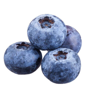 森珍绿业 新鲜蓝莓鲜果 蓝梅 单盒5g  盒装水果 6盒装