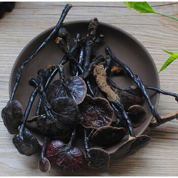 海南五指山态灵芝竹灵芝生态250g整枝竹灵芝 500g