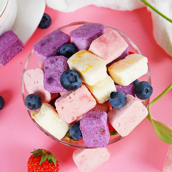 网红零食酸奶块水果冻干酸奶500g袋装k三种混合装冻干水果酸奶块250g