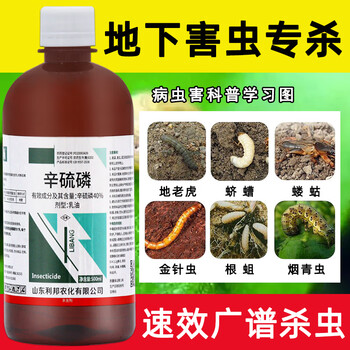 辛硫磷溶液浇泼乳油农药辛硫磷地下害虫专用药通杀土壤专用杀虫剂