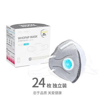 防甲醛口罩孕妇专用新办公室防二手烟口罩烟味气味孕妇专用神器甲24枚