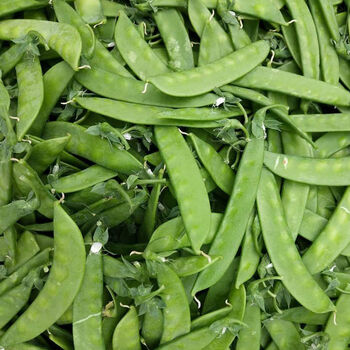 雨林食味 新鲜绿色蔬菜荷兰豆荚豌豆荚 5斤装(净重)
