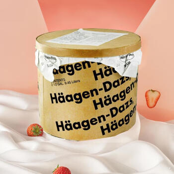 哈根达斯大桶冰淇淋商用挖球冰激凌桶haagen-dazs雪糕7.