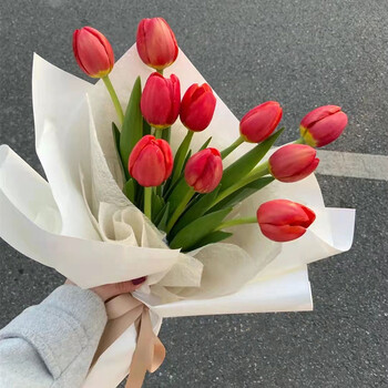 京东鲜花 同城配送10朵进口红色郁金香花束生日礼物纪念日求婚告白送