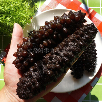 晨臻海参鲜活冷冻海参即食刺身短刺海参2斤9年参78斤