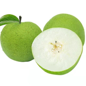 砀山翠冠梨新鲜梨子青皮青皇冠梨脆甜大果当季现摘水果整箱 大果 10斤