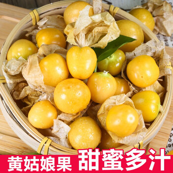 东北姑娘果新鲜灯笼果新鲜水果东北黄姑娘果现摘现发洋姑娘 5斤超值装