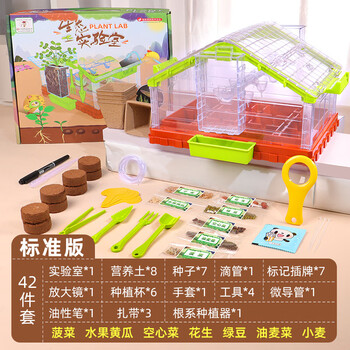 韦韦猪娃娃博士儿童种植阳光房diy小盆栽太阳能种菜玩具植物观察生态