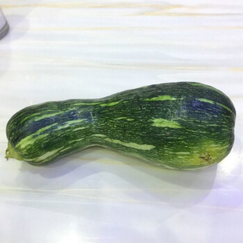 新鲜嫩南瓜3/5/9斤青南瓜花南瓜小南瓜蔬菜长南瓜倭瓜窝瓜 5斤花皮菜