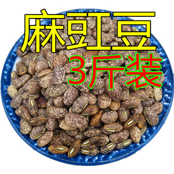 新货麻豇豆 花豇豆 花芸豆 饭豆农家自种散装五谷杂粮熬粥 八宝粥 麻