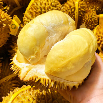 泰国金枕榴莲新鲜整个整果树上熟带壳鲜果 【品质力荐】  5-6斤