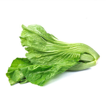 广纳力驰贵州大叶青菜新鲜蔬菜芥菜用做酸菜的青菜苦菜应季叶子菜 广