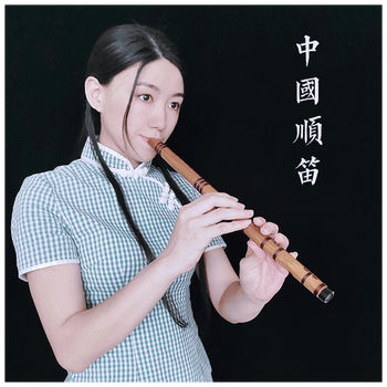 中小学生竖笛6孔无膜初学教学零基础入门乐器中国顺笛直笛子中国顺笛c 成人手大玩家推荐 图片价格品牌报价 京东