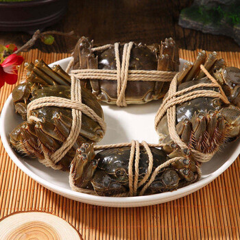 鲜活六月黄现货活蟹2-3两大闸蟹六月黄鲜活新鲜螃蟹8只装 六月黄