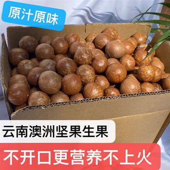 恒愎云南夏威夷果  原产地原味坚果整箱散装 未开口生果大果2500克