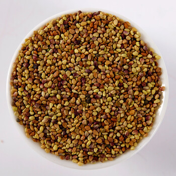 清荷蝴蝶原装进口 红三叶种子裸种护坡绿化幸运草植物果园绿肥种籽不