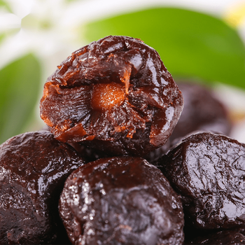 虎钢馋江西赣南特产丁香李赣县赣州蜜饯酸甜果脯休闲零食小吃李子 枕