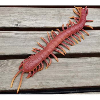 章鱼爬行蜈蚣蜘蛛蛇安康鱼软胶海洋动物夜光玩具模型 软体蜈蚣(31cm)