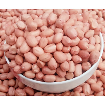 茗仟花生米  小白沙花生种子发芽 白皮花生仁500g 仁500g