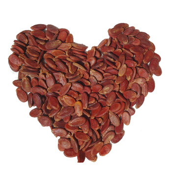 漓江桂林特产新货原味生红瓜子农家生的红西瓜籽粒粒饱满500g 满500g