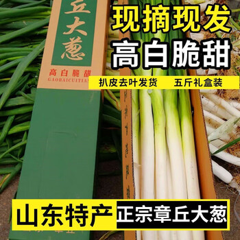财莱乐山东章丘现挖铁杆大葱新鲜脆甜微辣蘸酱特产正宗礼盒产地直销5